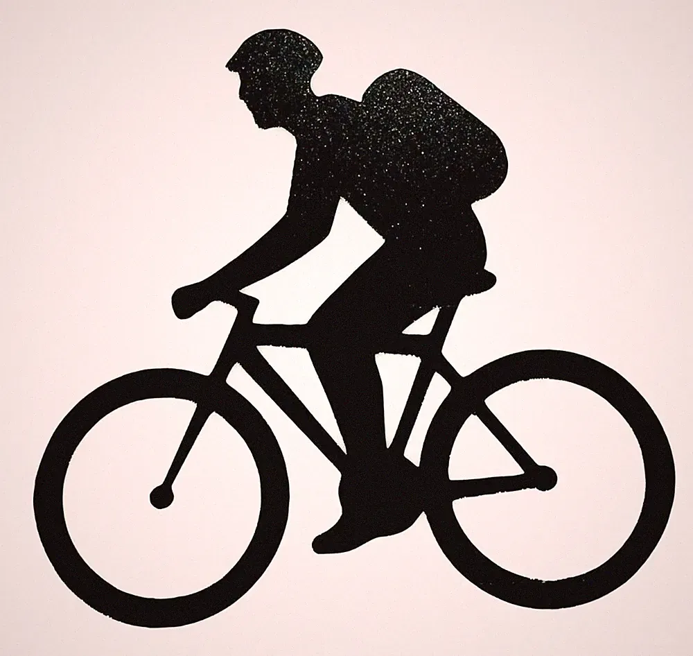 Bike Packing Vinyl Decal Many Size/Color Options, Touring Bicycle Free Shipping
