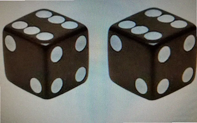BLACK DICE BICYCLE VALVE STEM CAPS