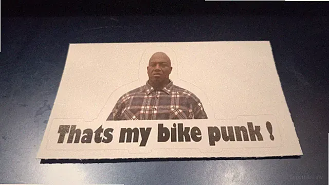 DEEBO "That's My Bike Punk!" funny sticker! 4.0 x 2.4