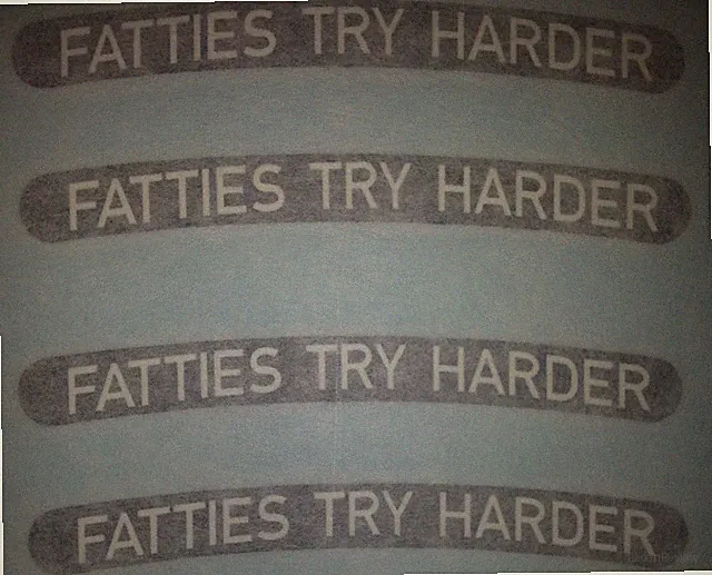 FAT TIRE bike rim decals "Fatties Try Harder" Borealis SurlyTrek Farley Fatty