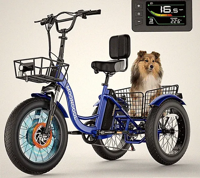 NAIZEA Electric Tricycle 20" x 4" Fat Tire Electric Trike Battery Aluminum Frame